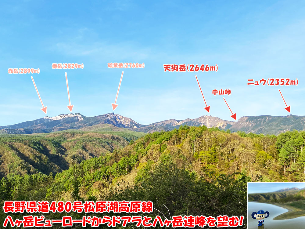 長野県道480号松原湖高原線！八ヶ岳ビューロードからドアラと八ヶ岳連峰を望む!