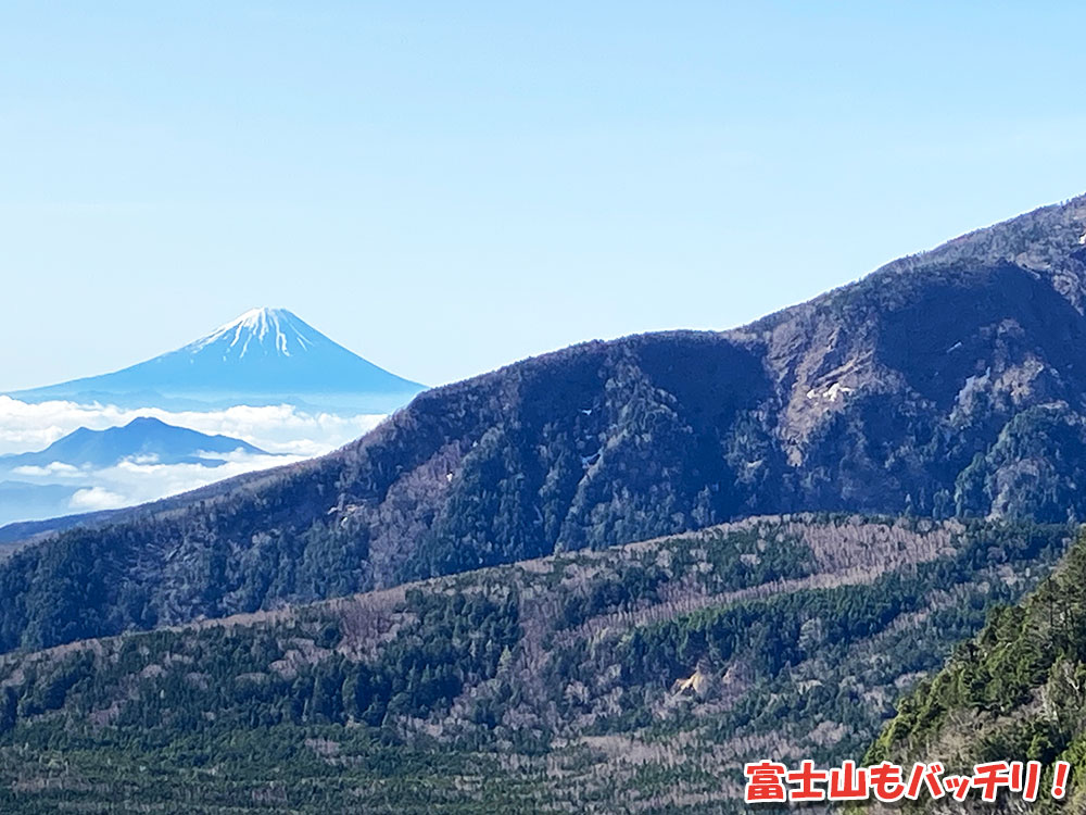 八ヶ岳・天狗岳の絶景を堪能！富士山もバッチリ！