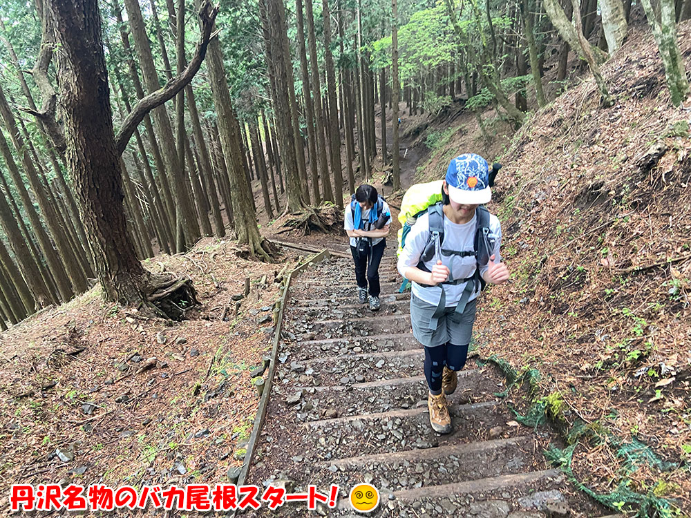 丹沢名物のバカ尾根スタート！