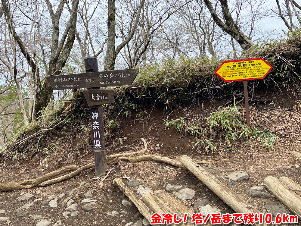 金冷し！塔ノ岳まで残り0.6km