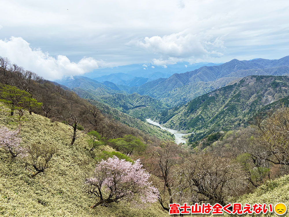 丹沢山に向かう！