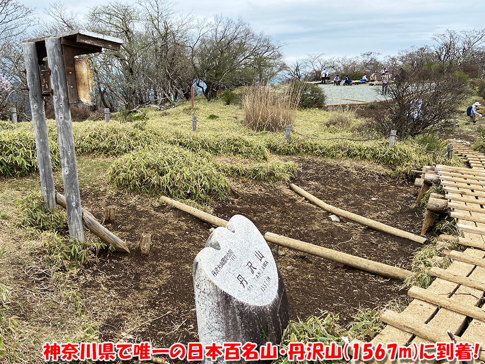 神奈川県で唯一の日本百名山・丹沢山(1567m)に到着! 