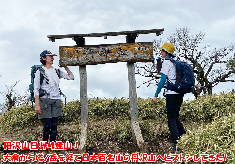 丹沢山日帰り登山！大倉尾根から塔ノ岳を経て日本百名山の丹沢山へピストンしてきた！