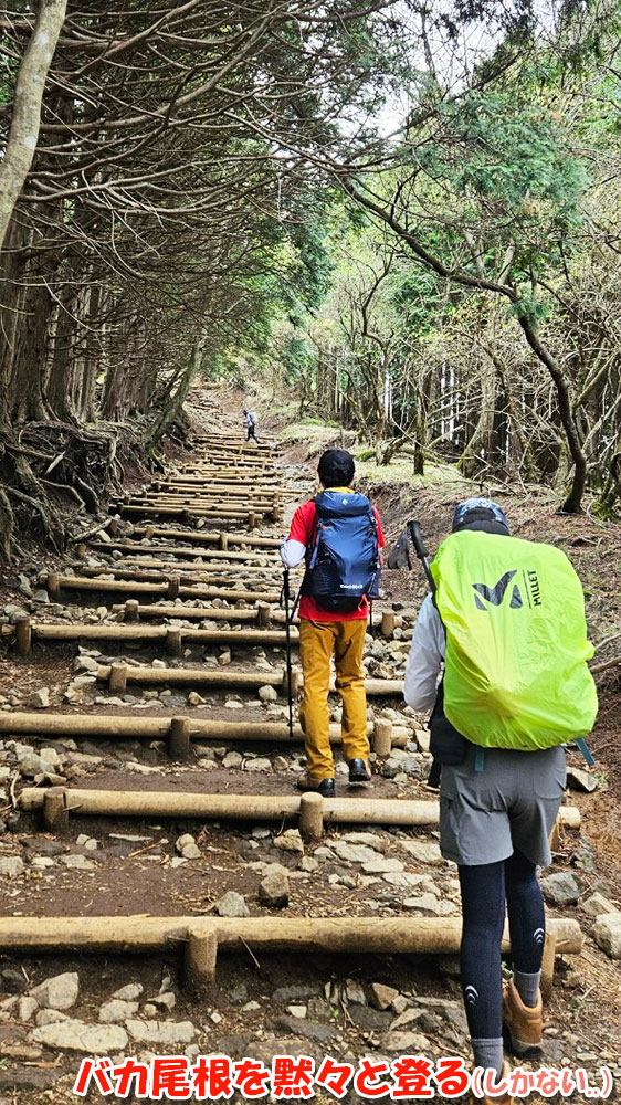 バカ尾根を黙々と登る（しかない）