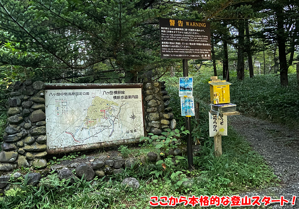 ここから本格的な登山登山スタート！