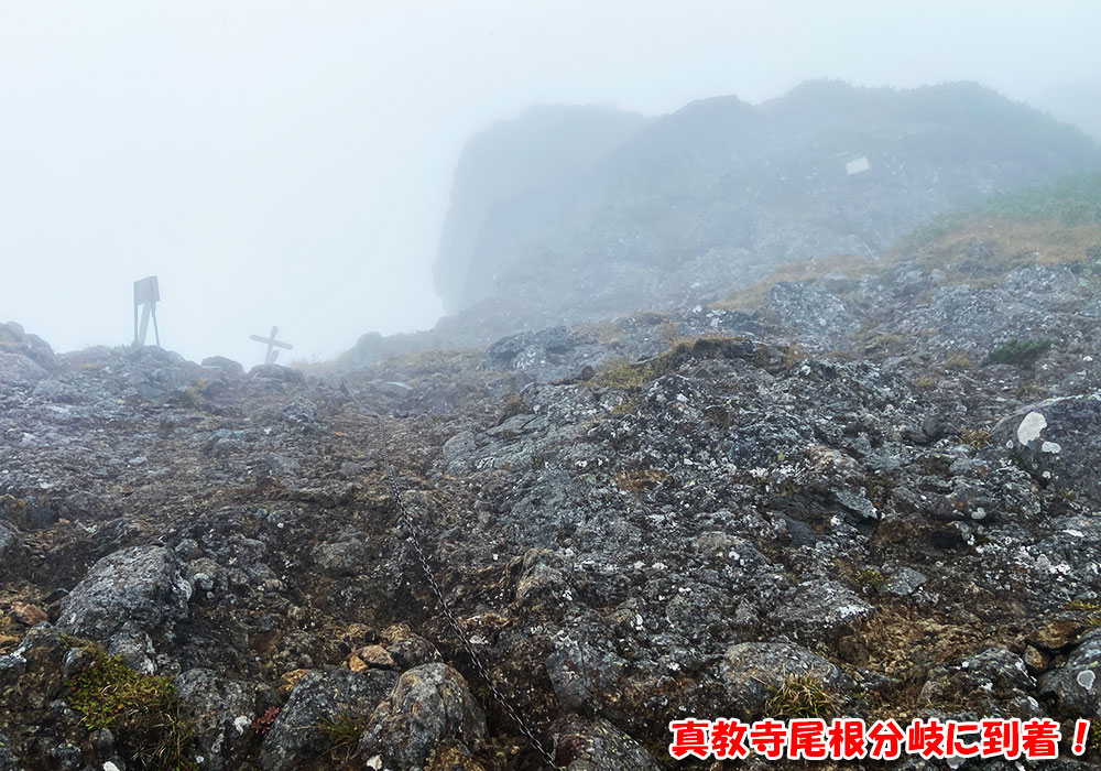 真教寺尾根分岐の到着！