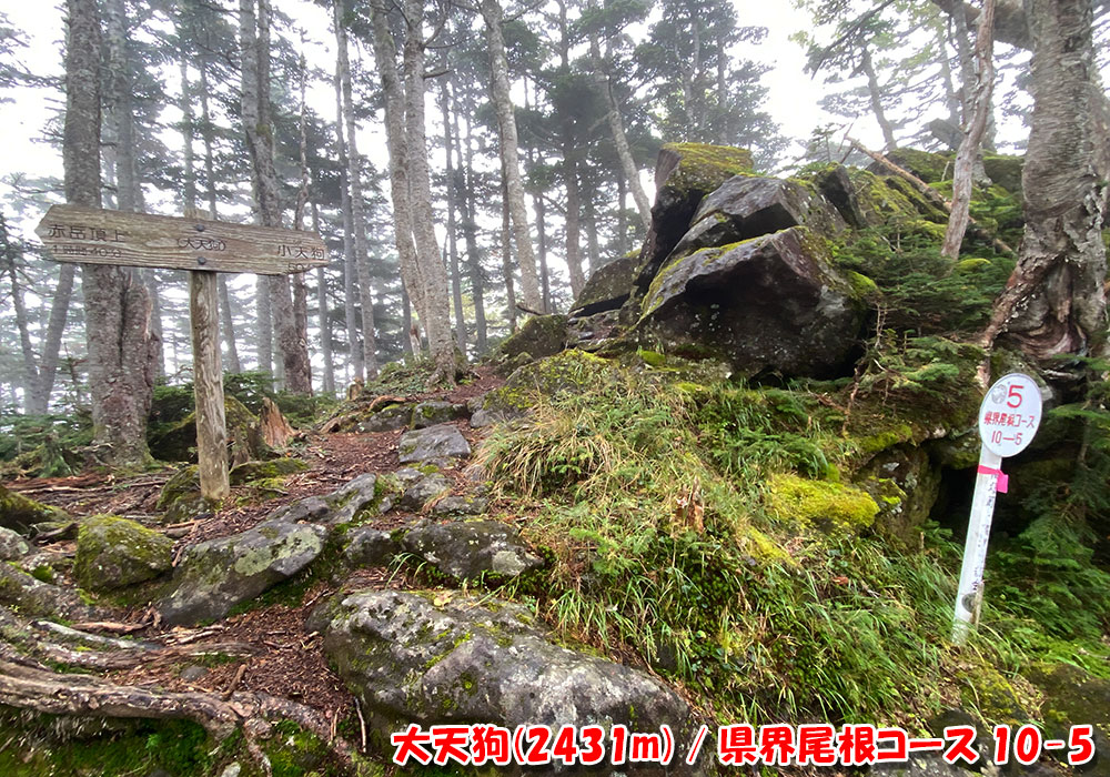 大天狗(2431m)・県界尾根コース 10-5