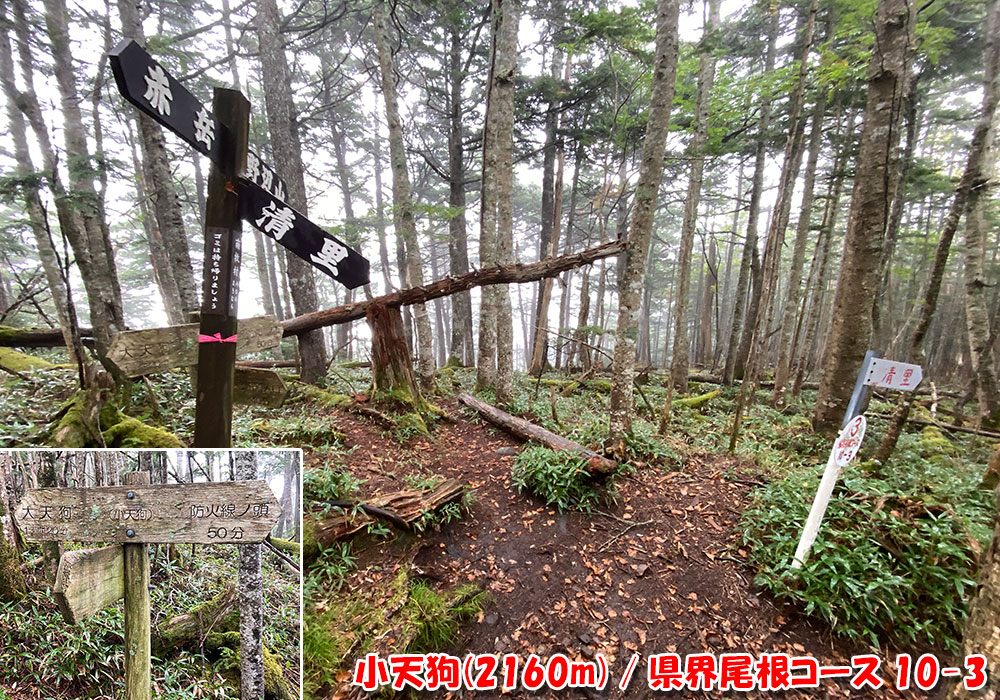 小天狗(2160m)・県界尾根コース 10-3