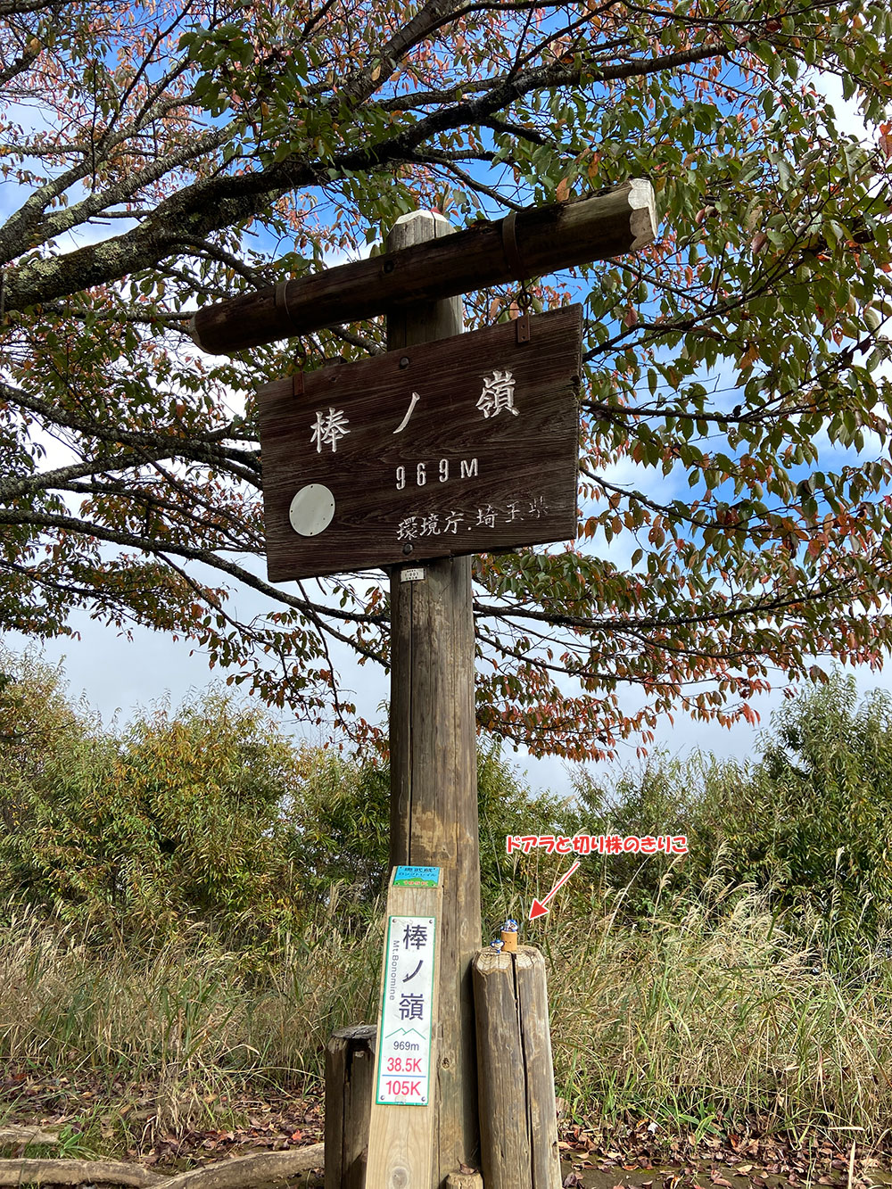 棒ノ嶺（棒ノ折山）山頂にてドアラと切り株のきりこでコラボしました！