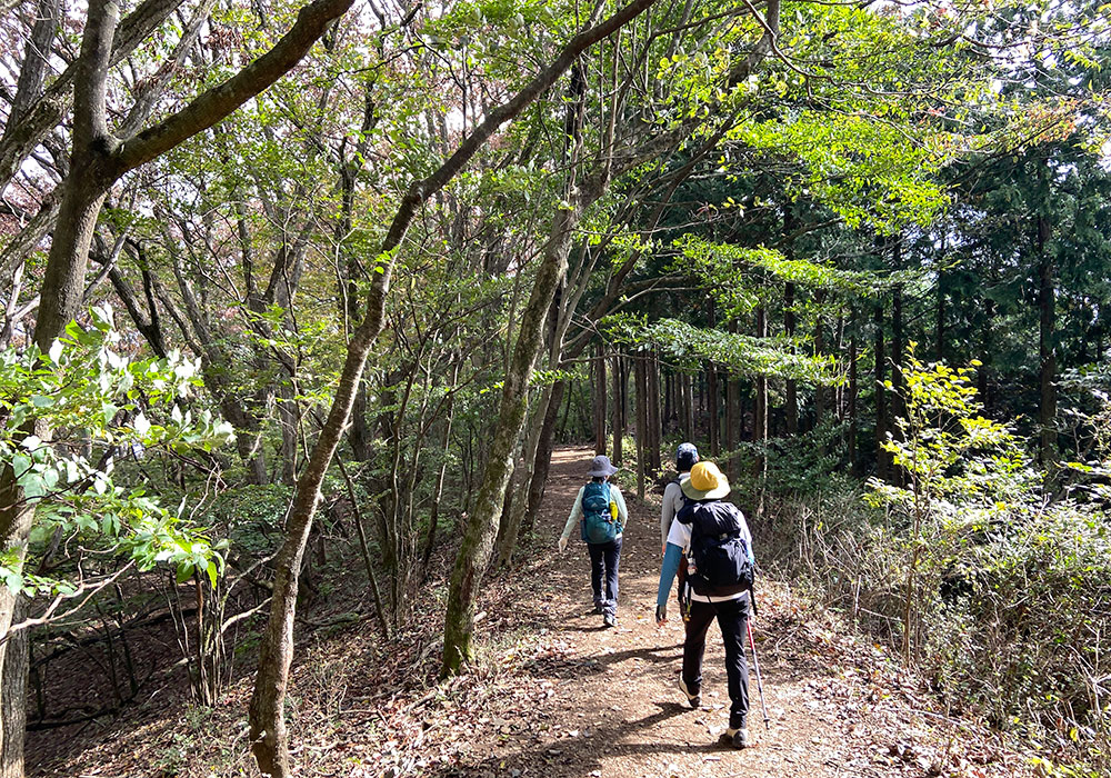 権次入峠へ向かう