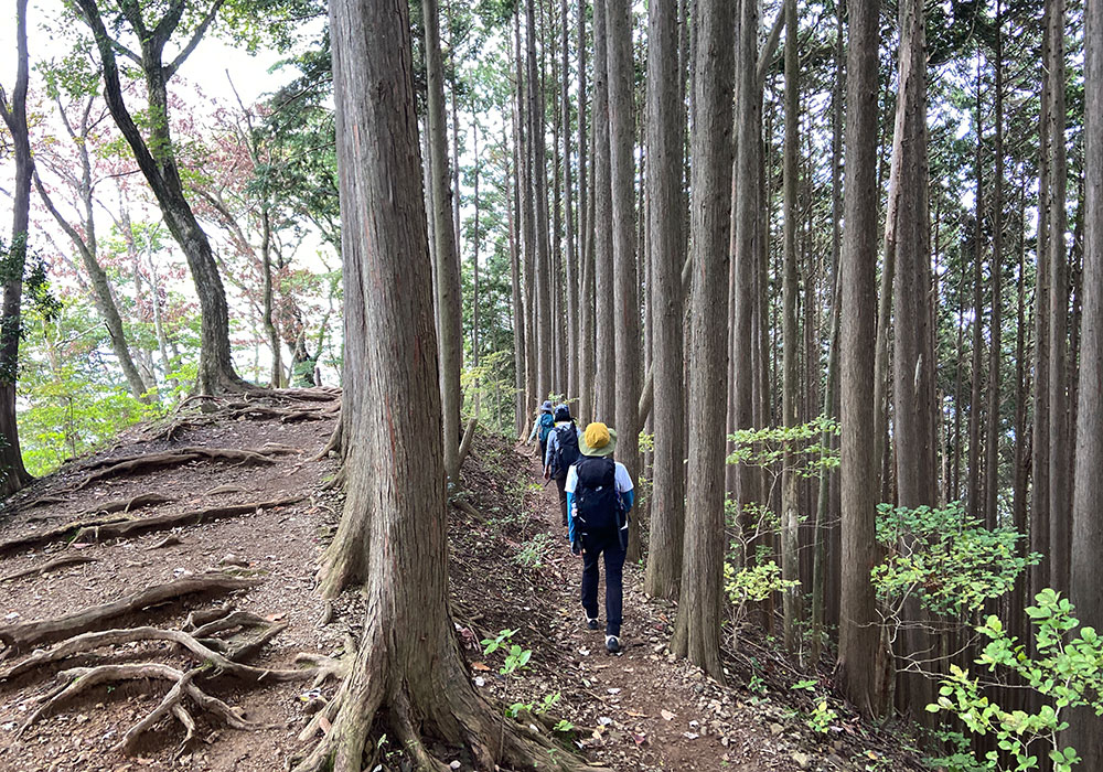 岩茸石へ向かう