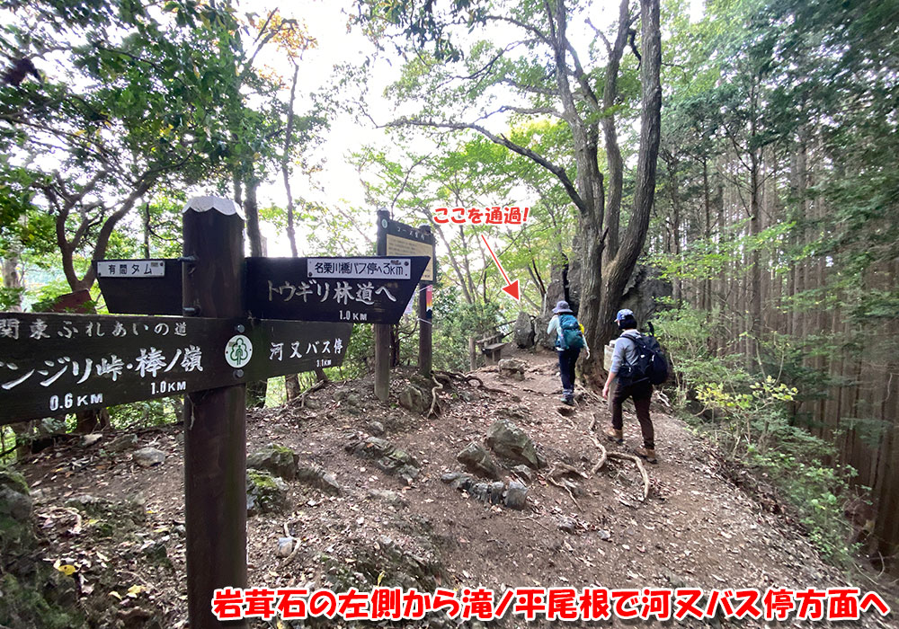 岩茸石の左側から滝ノ平尾根で河又バス停方面へ