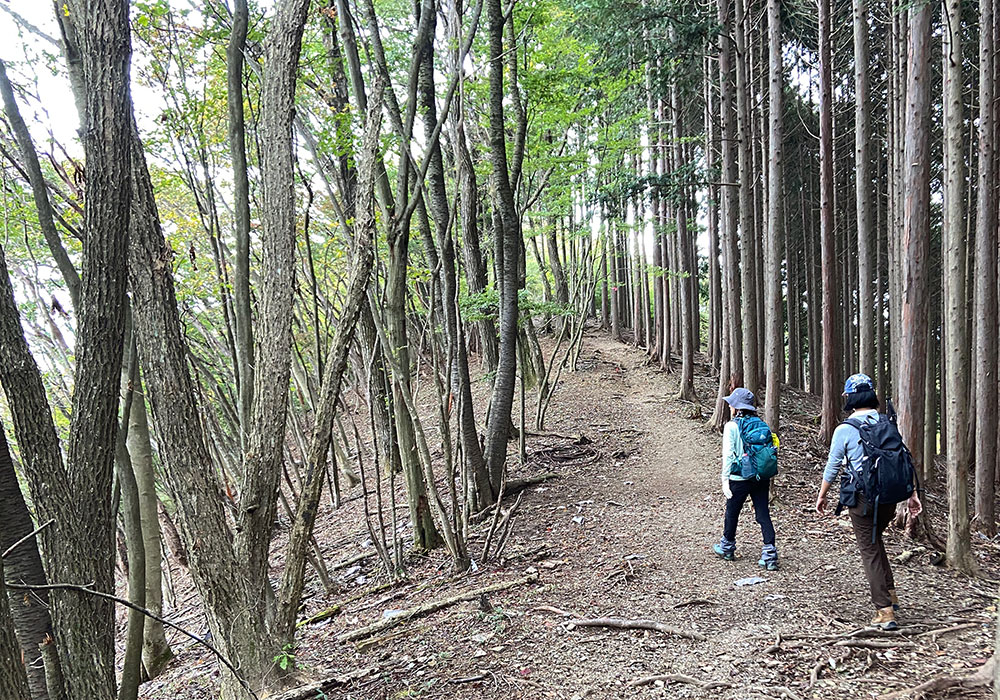 棒ノ折山・滝ノ平尾根