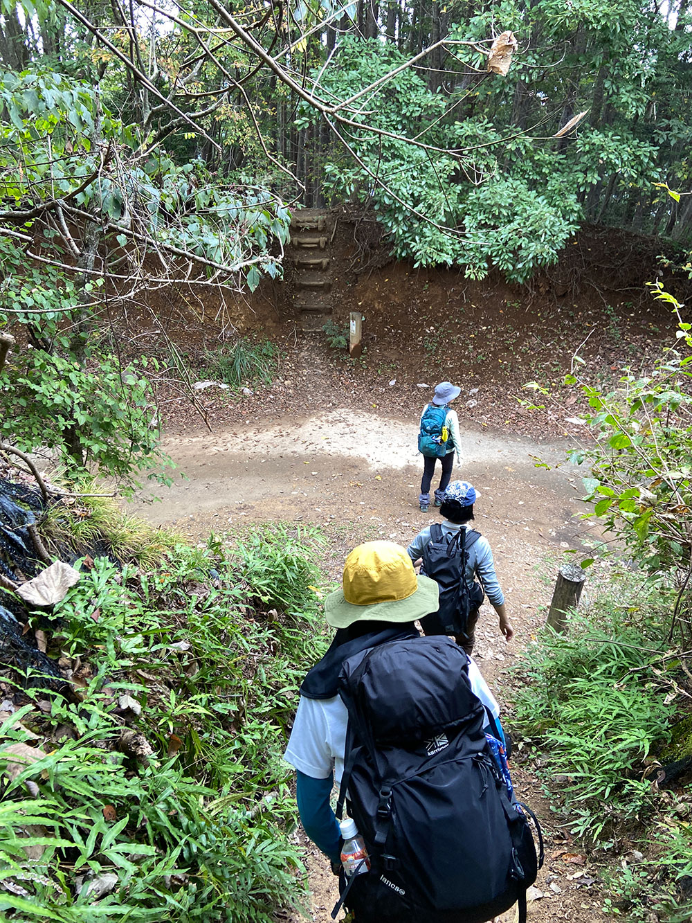 棒ノ折山・滝ノ平尾根