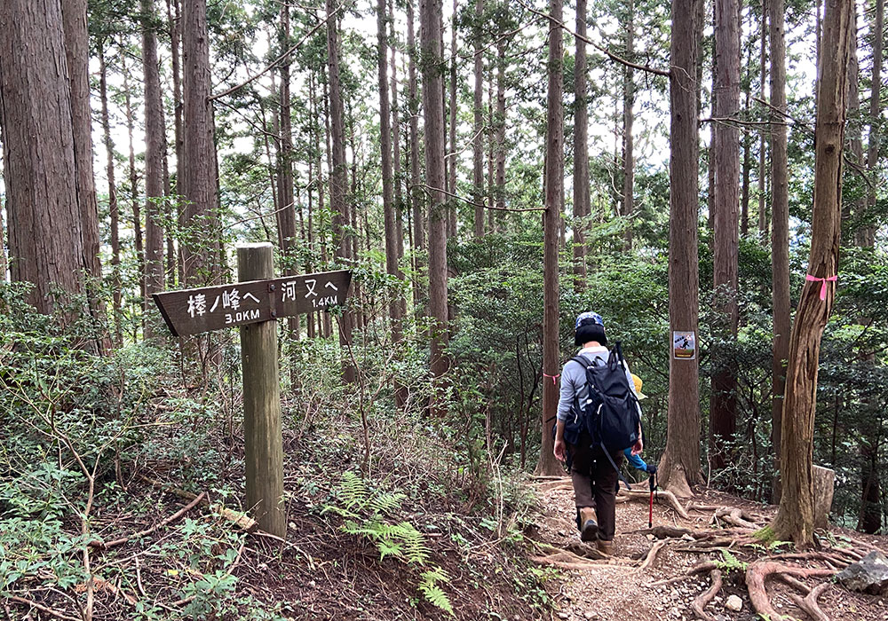 棒ノ折山・滝ノ平尾根