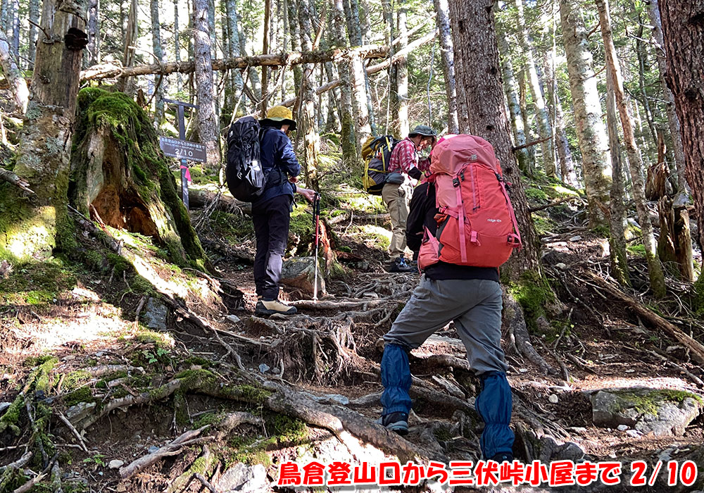 鳥倉登山口から三伏峠小屋まで 2/10