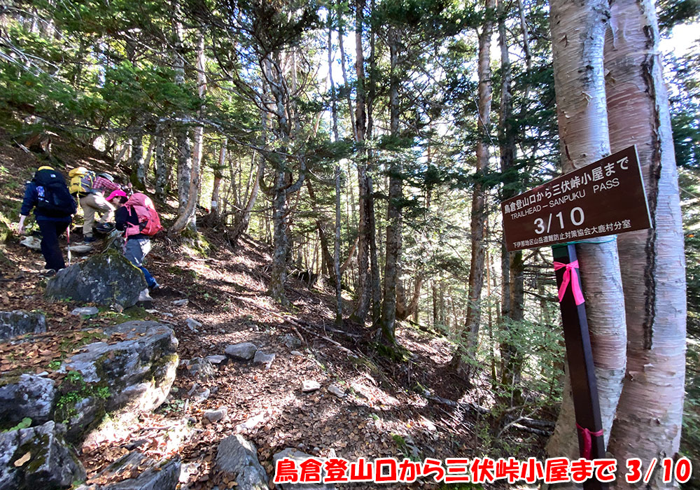 鳥倉登山口から三伏峠小屋まで 3/10