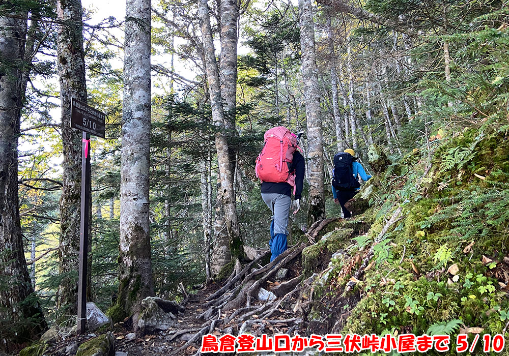 鳥倉登山口から三伏峠小屋まで 5/10