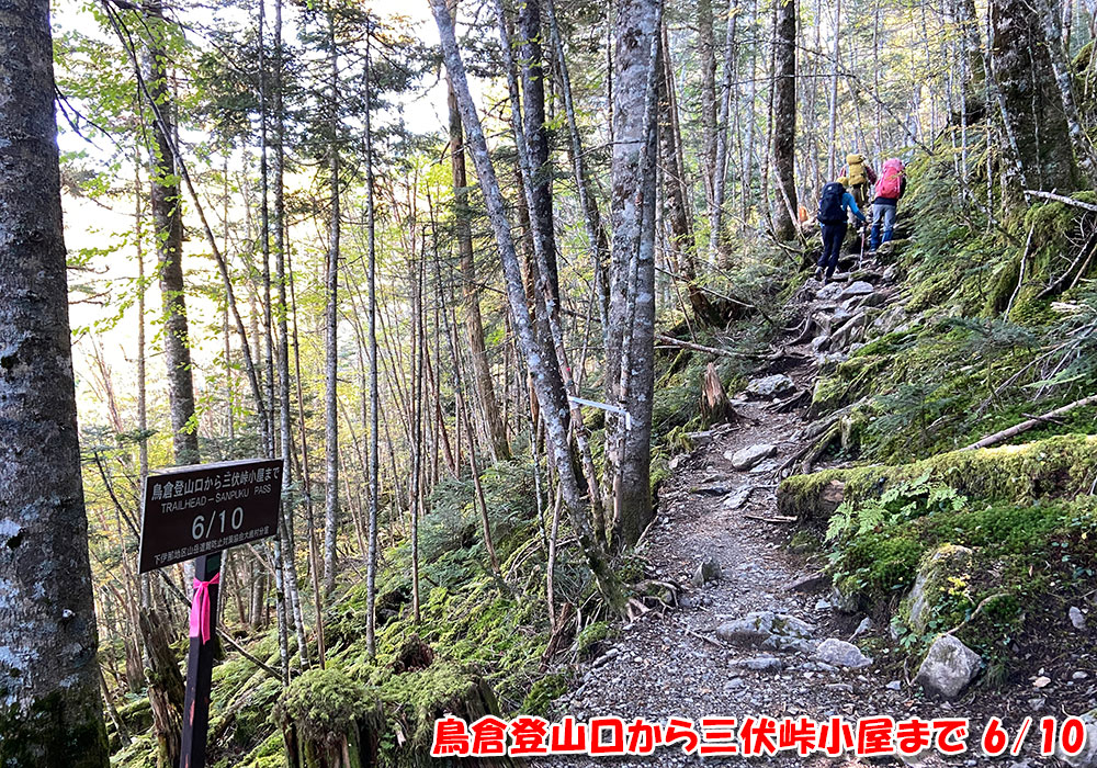 鳥倉登山口から三伏峠小屋まで 6/10