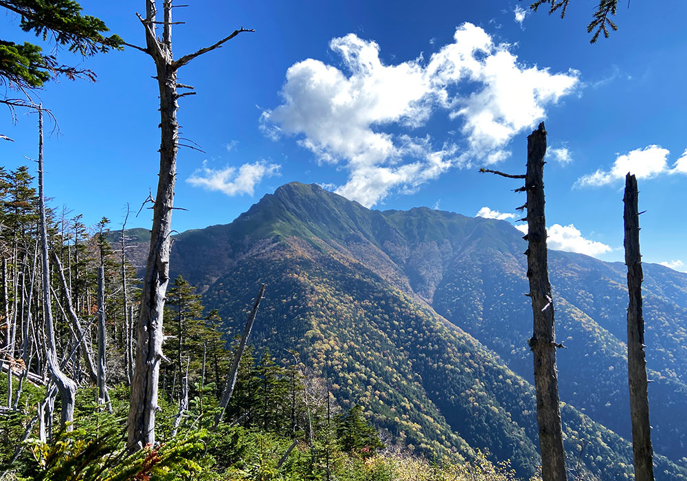 下山：塩見小屋 → 三伏峠小屋