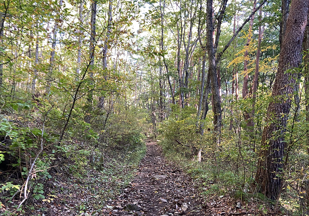 茅ヶ岳登山