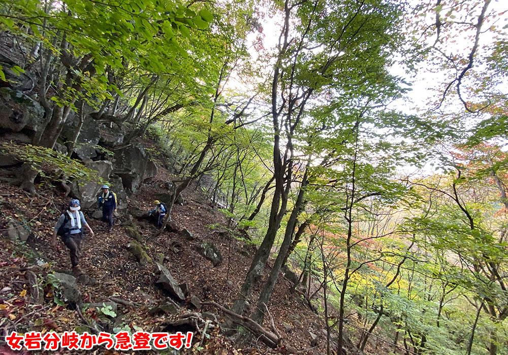 【茅ヶ岳・金ヶ岳登山】女岩から急登です！