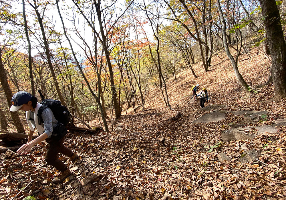 【茅ヶ岳・金ヶ岳登山】まだまだ登ります！