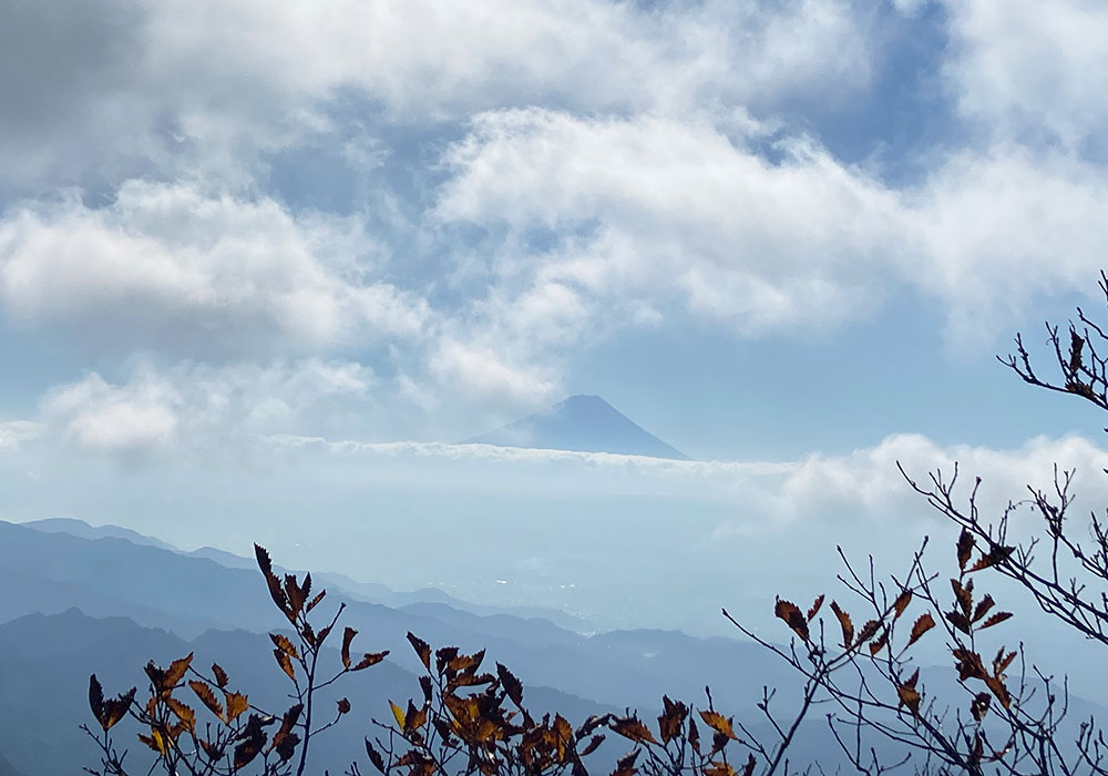 【茅ヶ岳・金ヶ岳登山】富士山が姿を現した！