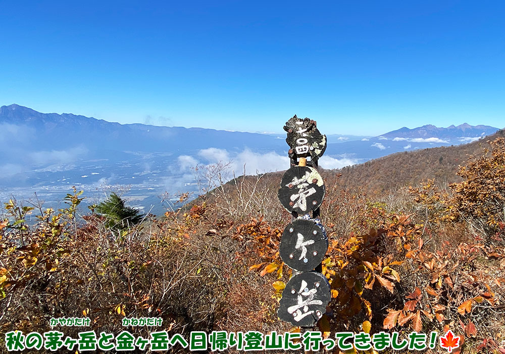 秋の茅ヶ岳と金ヶ岳へ日帰り登山に行ってきました !