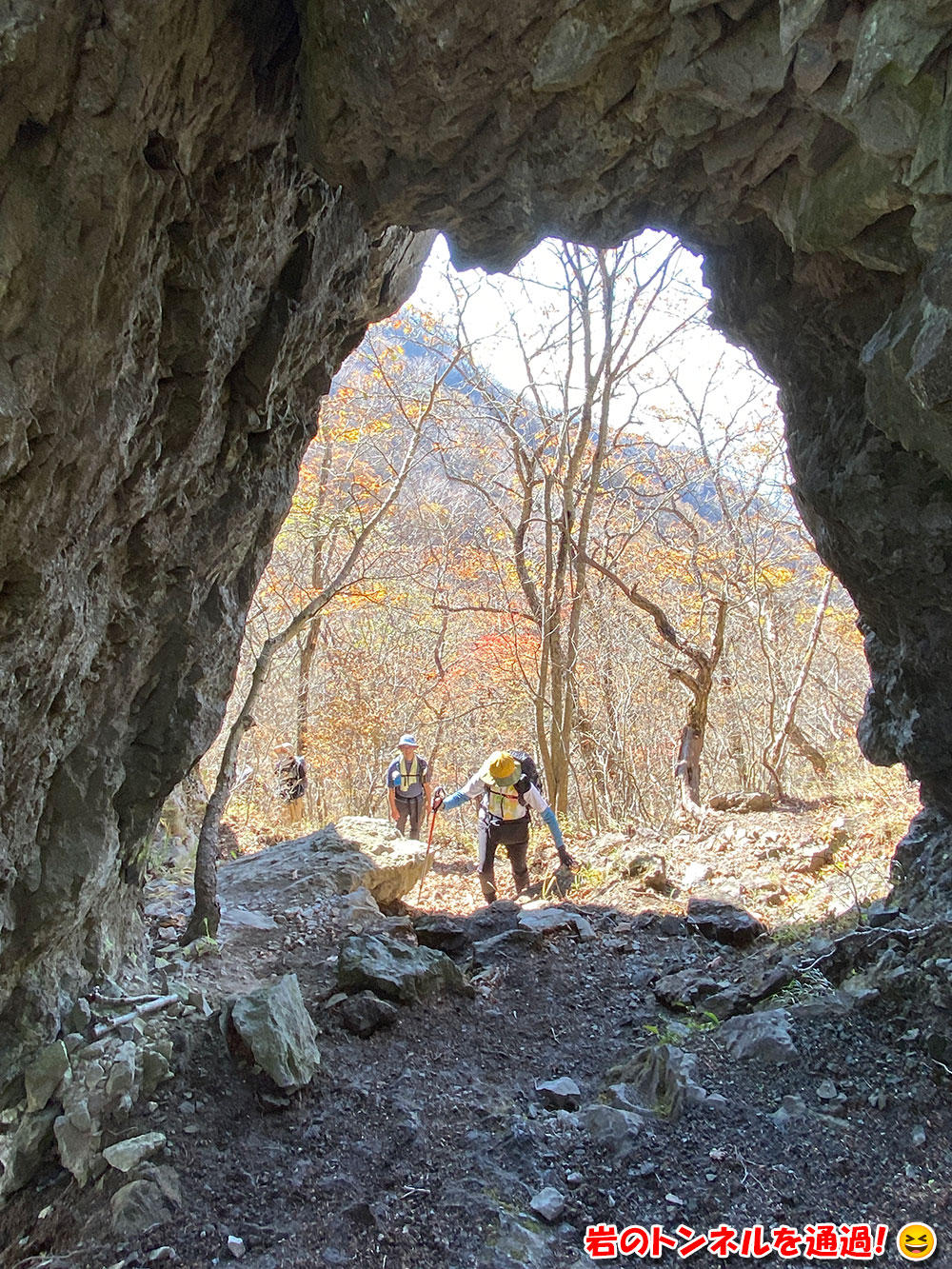 【茅ヶ岳・金ヶ岳登山】岩のトンネルを通過！