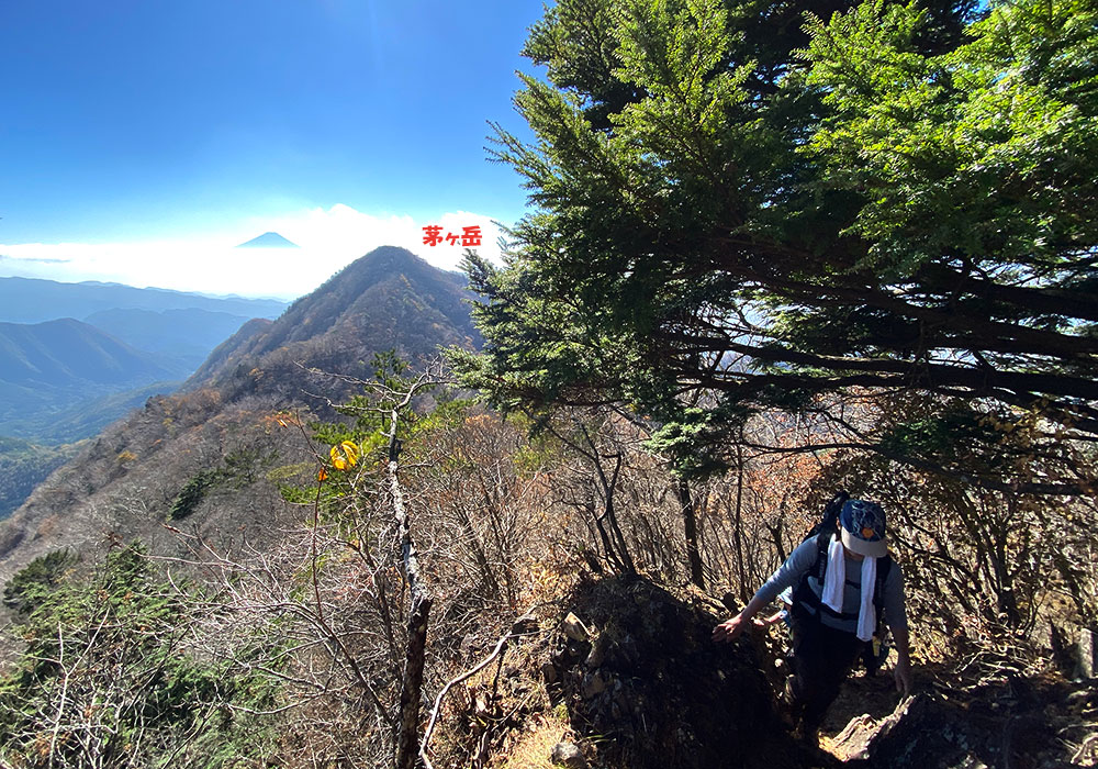 【茅ヶ岳・金ヶ岳登山】茅ヶ岳から金ヶ岳へ向かう！