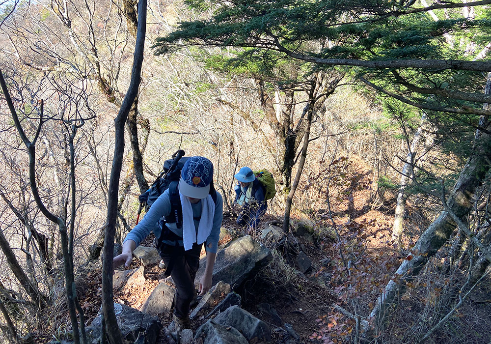 【茅ヶ岳・金ヶ岳登山】金ヶ岳から茅ヶ岳へ向かう