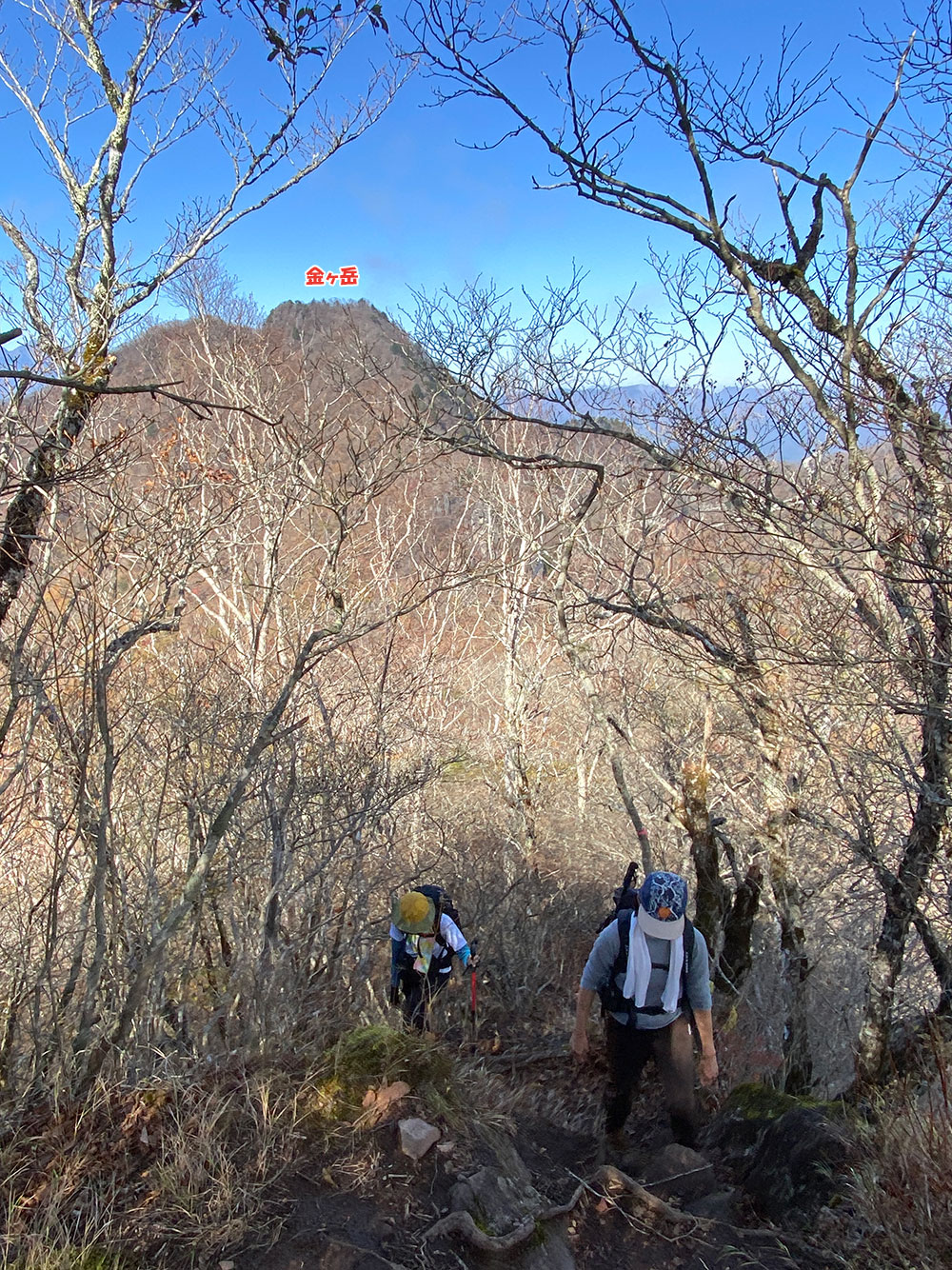 【茅ヶ岳・金ヶ岳登山】金ヶ岳から茅ヶ岳へ向かう