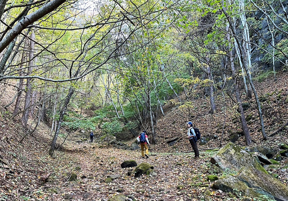 茅ヶ岳・金ヶ岳登山