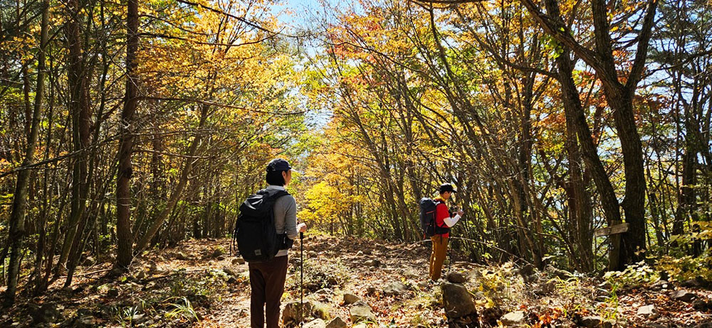 【茅ヶ岳・金ヶ岳登山】紅葉が綺麗でした！